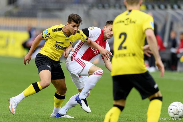 大到中小型 大到中小型